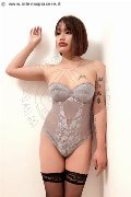 Foto Akita Trans Asiatica Trans Padova - 33