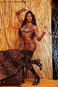Foto Alessandra La Gatta Nera Trans Vercelli - 271