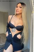 Foto Angel Bunny Trans Milano - 2