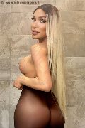 Foto Angel Bunny Trans Roma - 6