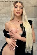 Foto Angel Bunny Transescort Milano - 3