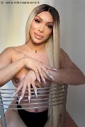 Foto Angel Bunny Transescort Milano - 1