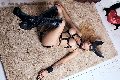 Foto Bruna Mor Trans Roma - 142