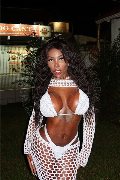 Foto Campbell Trans Milano - 88