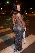 Foto Campbell Trans Milano - 6