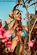 Foto Chrystal Medeiros Pornostar Trans Pescara - 51