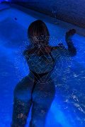 Foto Ellena Bittencourt Trans Torino - 63