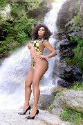 Foto Estrella Trans Torino - 83