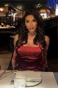 Foto Gabriela Lemos Trans Verona - 23