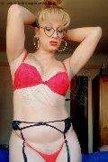 Foto Gaja Trans Ibiza - 89