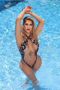 Foto Gaja Trans Ibiza - 6