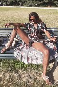 Foto Graicy Ohara Pornostar Trans Colonnella - 12