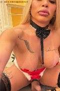 Foto Hot Nicoly Trans Bruxelles - 1