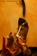 Foto Lady De Sade Italy Mistress Marina Di Carrara - 22