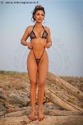 Foto Leona Girl An�polis - 3