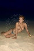 Foto Liisa Asiatica Ladyboy Trans Pescara - 474