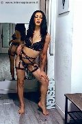 Foto Nicki Trans Alba - 4