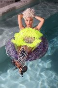Foto Nina La Divina Trans Ibiza - 85