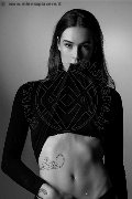 Foto Nyx Trans Milano - 15
