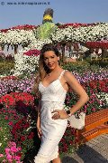 Foto Rayca Trans Berna - 351
