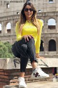 Foto Rayca Trans Berna - 336