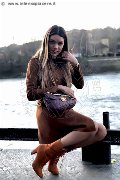 Foto Rayca Trans Berna - 338