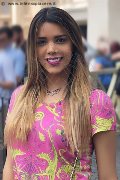 Foto Rayca Trans Berna - 333