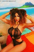 Foto Rosa Xxxl Trans Roma - 15