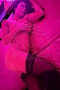 Foto Rose Rose Girl Trento - 15