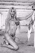 Foto Sabry Transescort Recife - 77