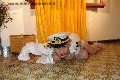 Foto Sara Italy Transescort Lussemburgo - 24