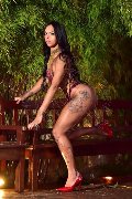 Foto Sophie Vergara Trans Forl� - 16