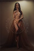 Foto Vanessa Hilton Trans Modena - 37