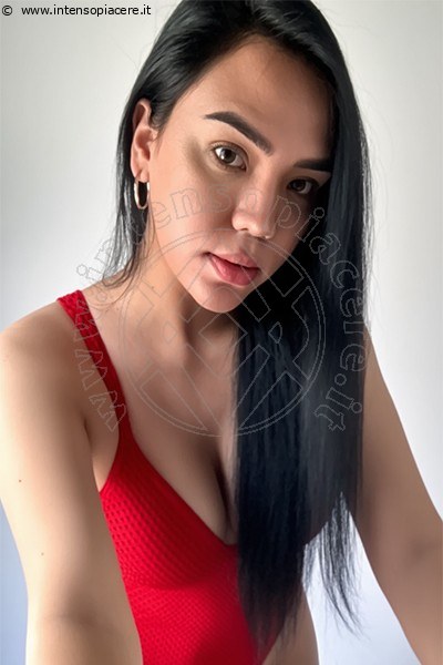 Foto Hellen  Trans 371 7911706