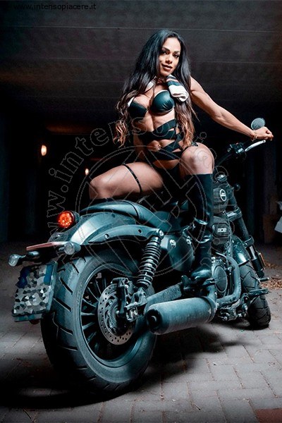 Foto Melani Vilhena  Trans 351 4517811