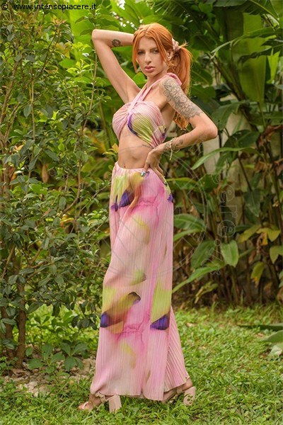 Foto Miranda Hot  Escort 392 4622964