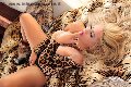 Foto Antonella Tx Brasiliana Trans Gallarate - 5