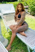 Foto Hillary Brasiliana Trans Alba Adriatica - 43
