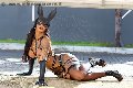 Foto Hillary Brasiliana Trans Bologna - 78