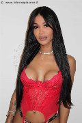 Foto Mikaella Pimentell Pornostar Trans Roma - 6
