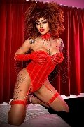 Foto Stella Trans Milano - 16