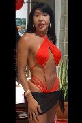 Foto Tain� Oliveira Trans Prato - 33