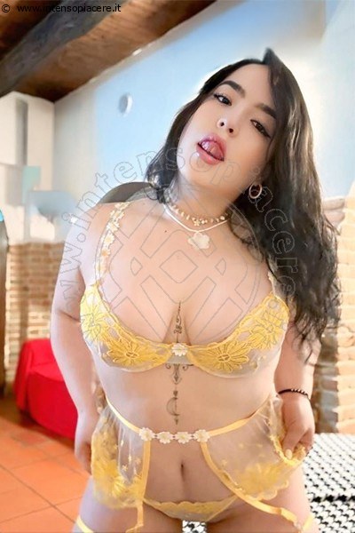 Foto Clara Colombiana Escort 331 2138934