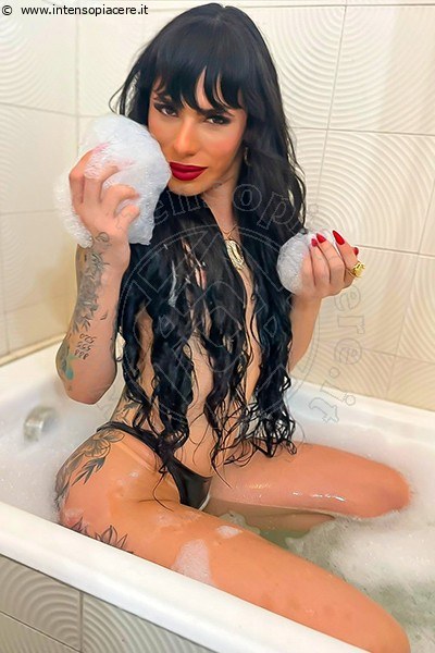 Foto Heron Trans 393 3783206